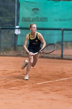 Bild 573 - BL2 TC an der Schirnau - THC von Horn und Hamm : Ergebnis: 7:2